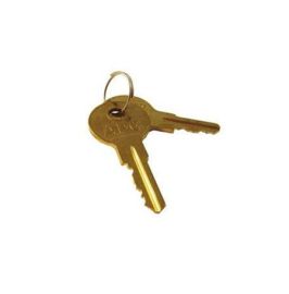 APG spare key-50111